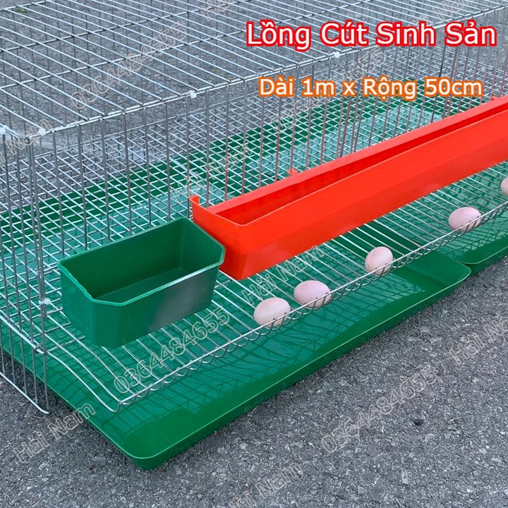 Máng ăn cho chim bồ câu