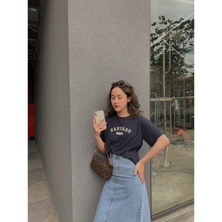 Áo Pull Harvard ngắn tay AP454 1994closet