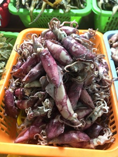 Mực sữa hấp muối 500g