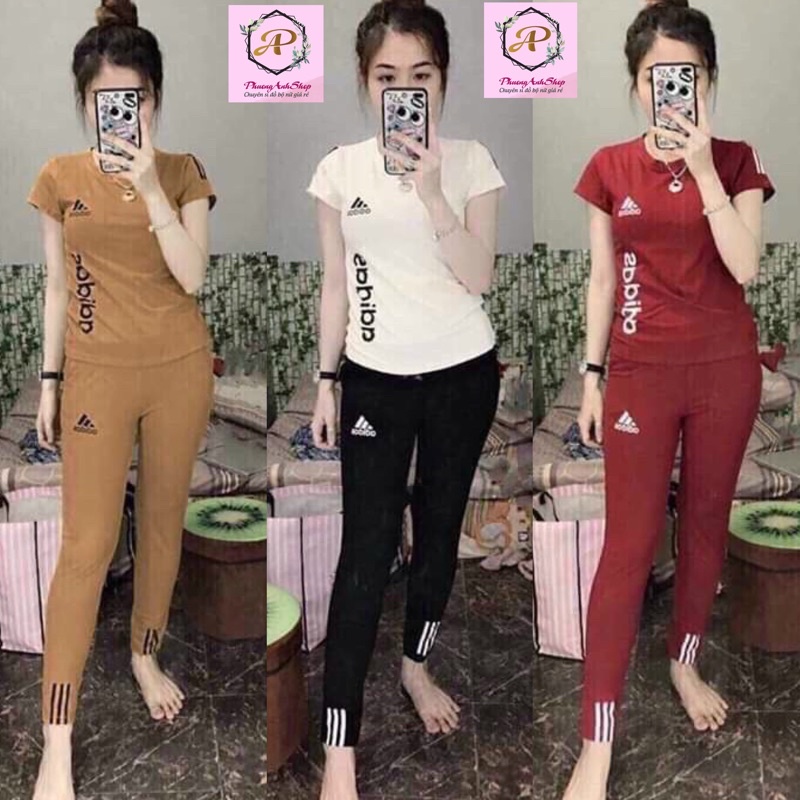 đồ bộ thể thao cao cấp