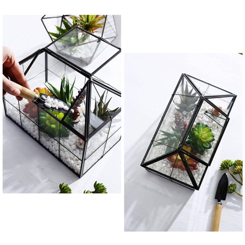 Hộp kính trong suốt hình học dùng trồng cây trang sức tiện dụng