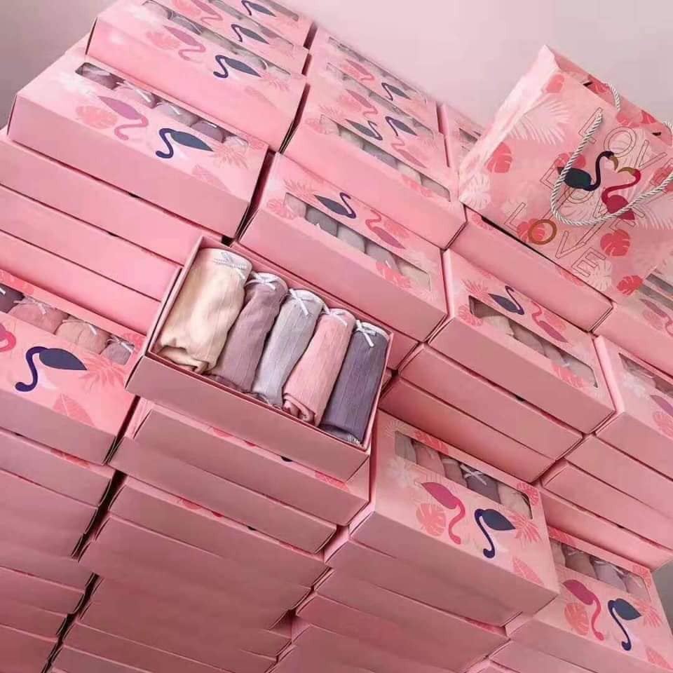 Hộp 5 quần lót cotton hạc hồng