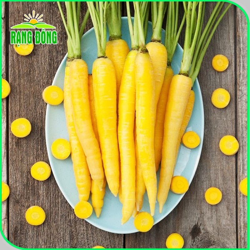 Hạt giống Cà Rốt Vàng giàu dinh dưỡng, sinh trưởng khỏe, nảy mầm tốt (gói 5 gr) - Hạt giống Rạng Đông