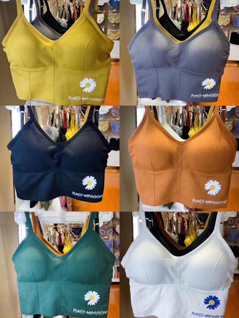 [Hot 2020 BRA COTTON GÂN HOA CÚC