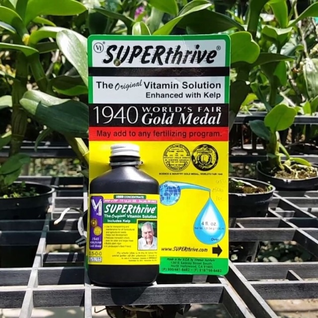 Siêu phẩm Superthrive 60ml-Mỹ -50 loại thuốc kích thích