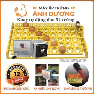 Máy ấp trứng mini Ánh Dương khay tự động đảo 54 quả TẶNG ĐÈN SOI TRỨNG và thuốc úm gà -tự lắp thùng