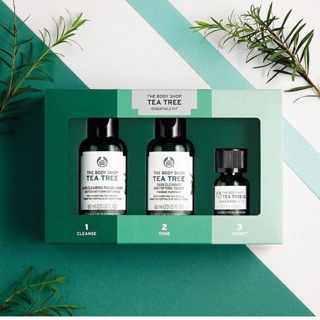 [Duty Free] Set Tea Tree (Tinh dầu tràm trà) - The Body Shop