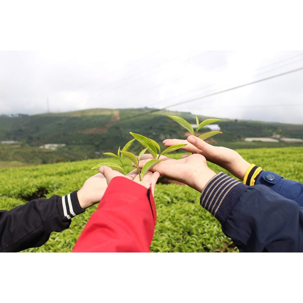 ÁO KHOÁC JACKET WET NAM, NỮ chống nước màu xanh | BigBuy360 - bigbuy360.vn