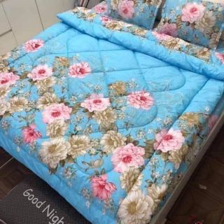 Ruột chăn Siêu nhẹ vỏ họa tiết