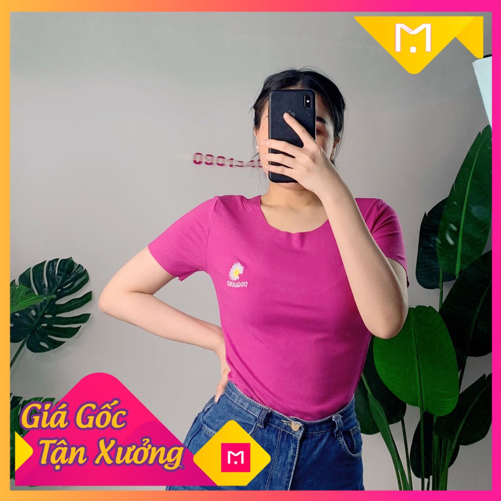 [Giảm 10k đơn 199k] Áo Thun Nữ Tay Ngắn Cổ Tròn Nhiều Màu Hoa Cúc, Thiết Kế Cổ Rộng, Áo Phông Đơn Giản HH108