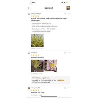 Nhánh Hoa Lan Vũ Nữ, hoa lụa giả hàng nhập cao cấp (Dài 115cm, 7 nhánh)