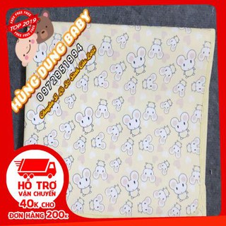 Chiếu điều hòa 2 mặt kt 60x80