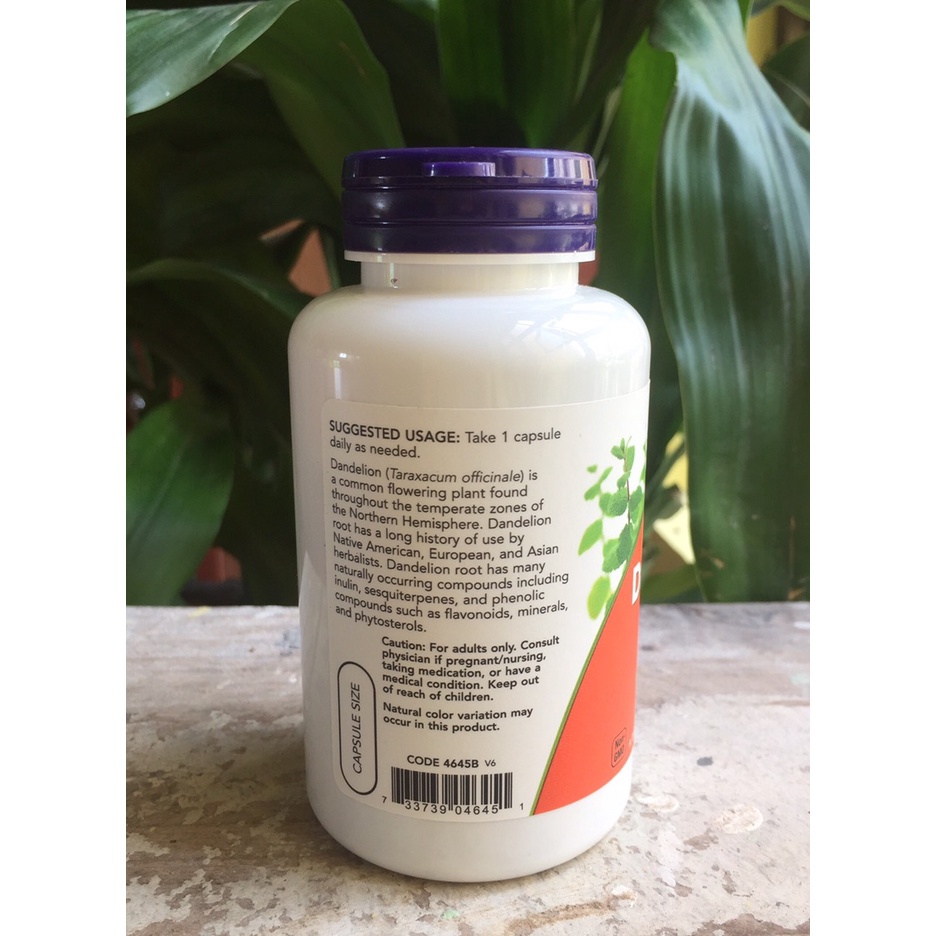 Viên uống rễ bồ công anh Now Dandelion Root 500 mg chống oxi hóa mạnh của Mỹ