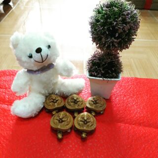 Sỉ 10 chú rùa đá