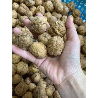 -SP- ⭕⭕ Hạt Óc Chó Vàng 500g [FREESHIP] [Có sẵn]