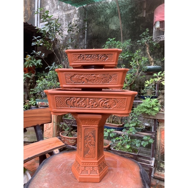 Chậu chữ nhật trồng cây bonsai và đôn kê chậu