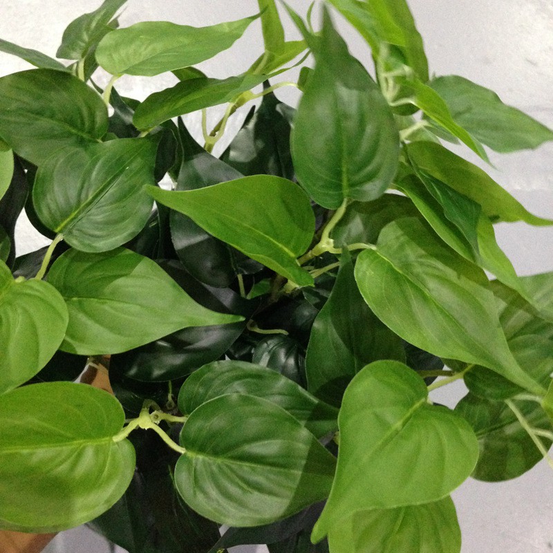 Lá giả, sợi dây leo lá Trầu Bà trang trí dài 2.1m 80 lá