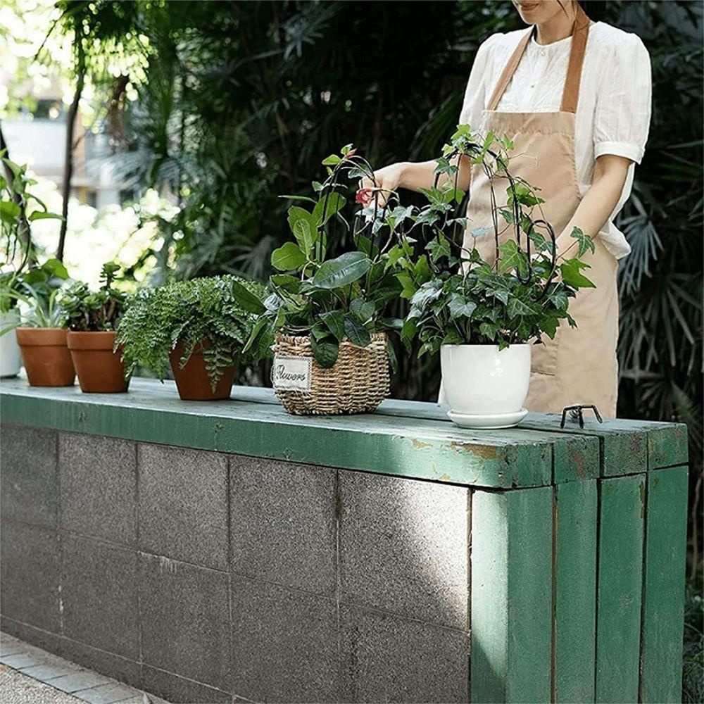 Giá Đỡ Cây Dây Leo Dùng Trang Trí Sân Vườn