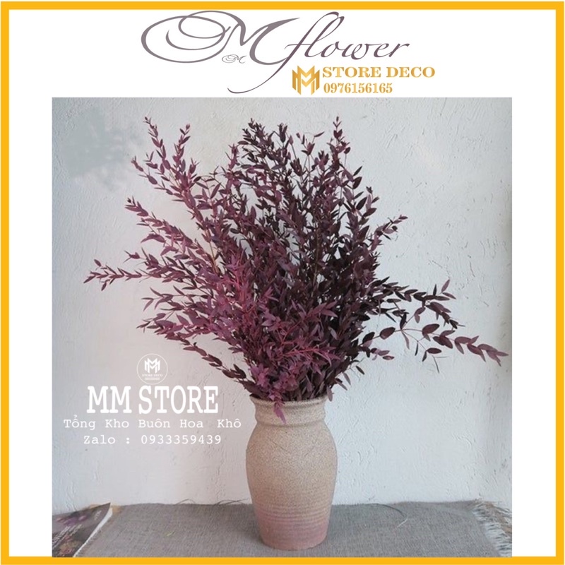 1 bó lá khô deco trang trí , lá khô hoa khô deco siêu đẹp
