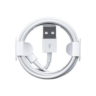 [BH 12T] Cáp sạc iPhone bản tiêu chuẩn - [USB to Lighting] [USB-C to Lightning]