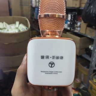 MICRO BLUETOOTH KARAOKE  TOSING