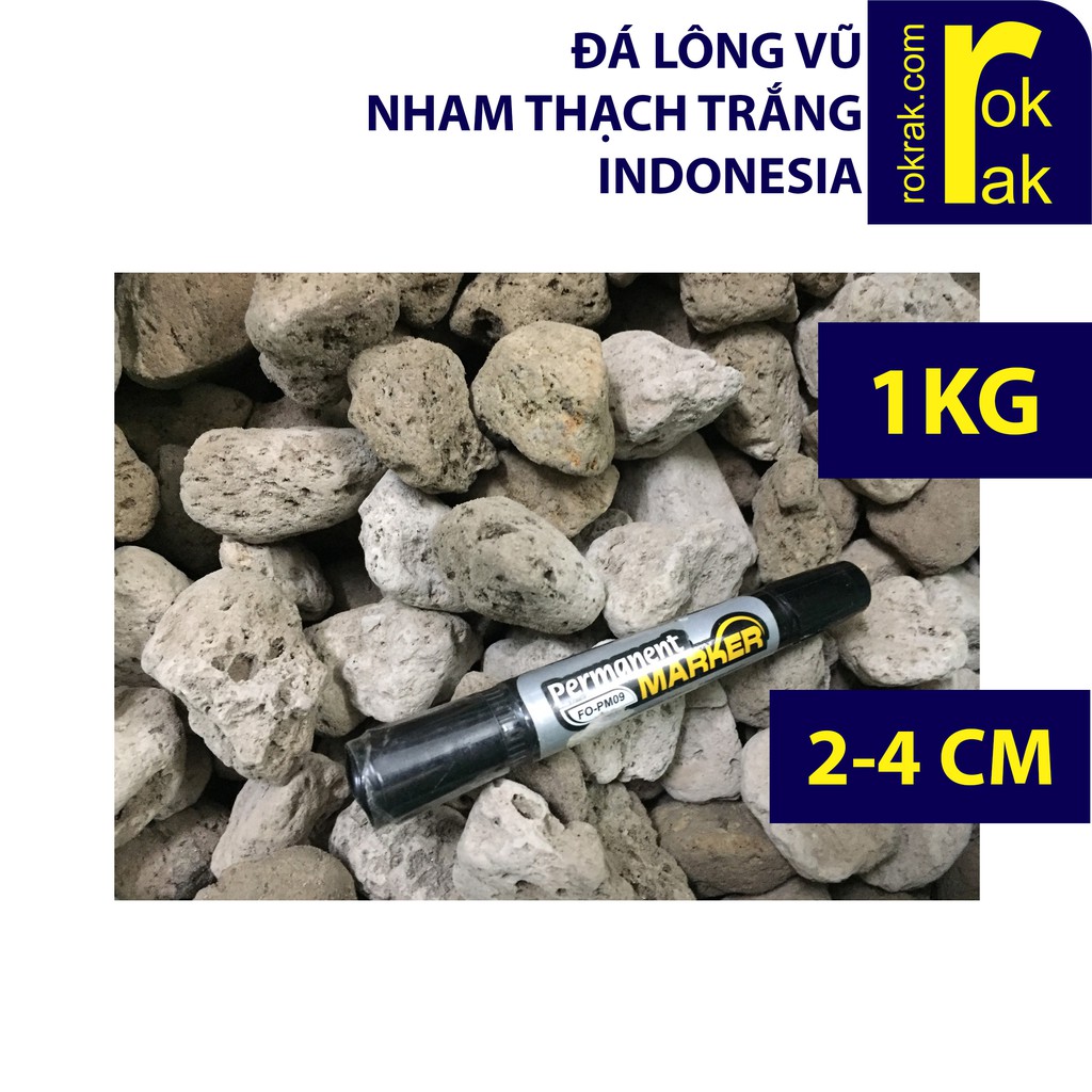 Đá lông vũ 2-4cm Indo Nham thạch trắng Indonesia 1kg siêu nhẹ