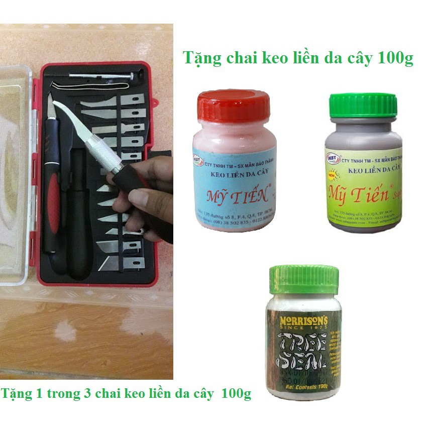 Bộ dao cắt ghép lan hồng mai sứ tặng chai keo liền da 100g