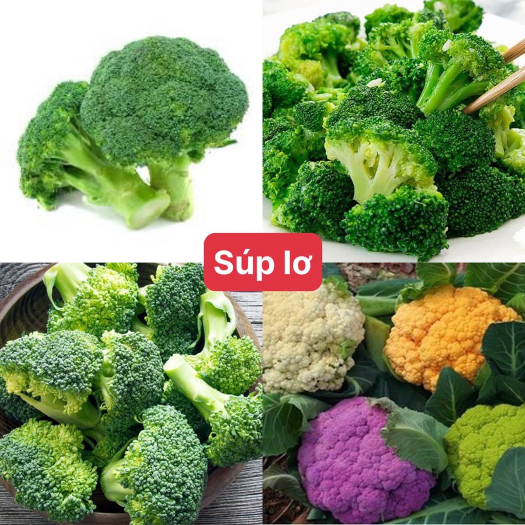 Hạt giống súp lơ F1 Mix nhiều màu loại siêu dễ trồng chống sâu bệnh năng xuất cao [gói 50gram,100gram,200gram]