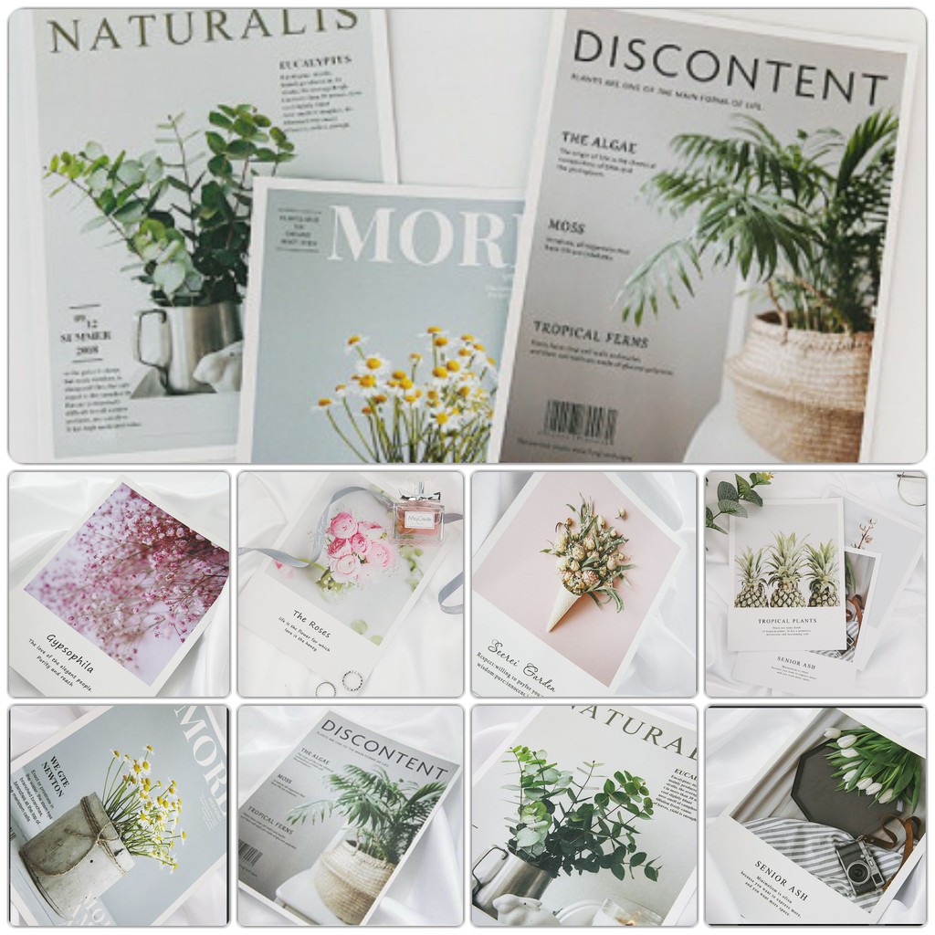 ẢNH BÌA DÀY phụ kiện trang trí chụp ảnh. POSTCARD decor dán tường hiện đại, vintage, morandi