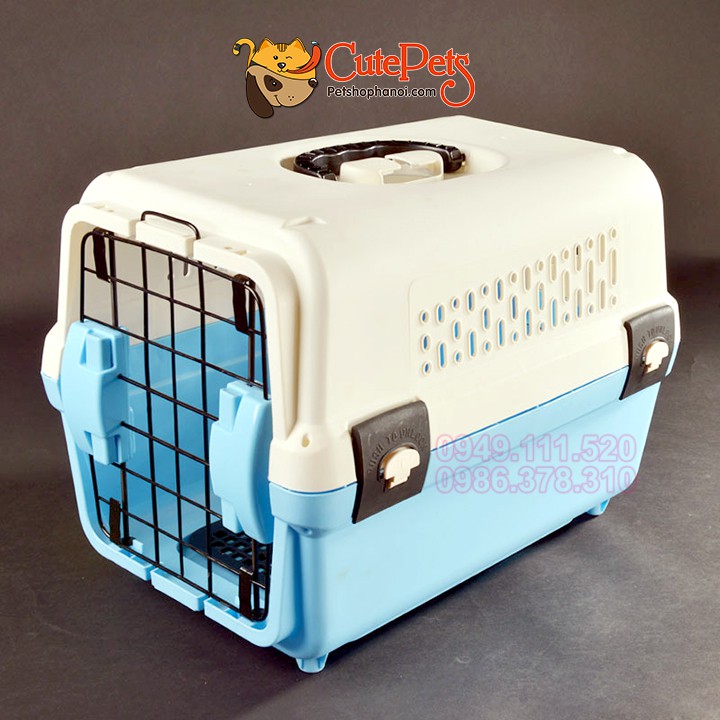 Lồng vận chuyển hàng không Size M 51x33x34cm dành cho thú cưng - Cutepets