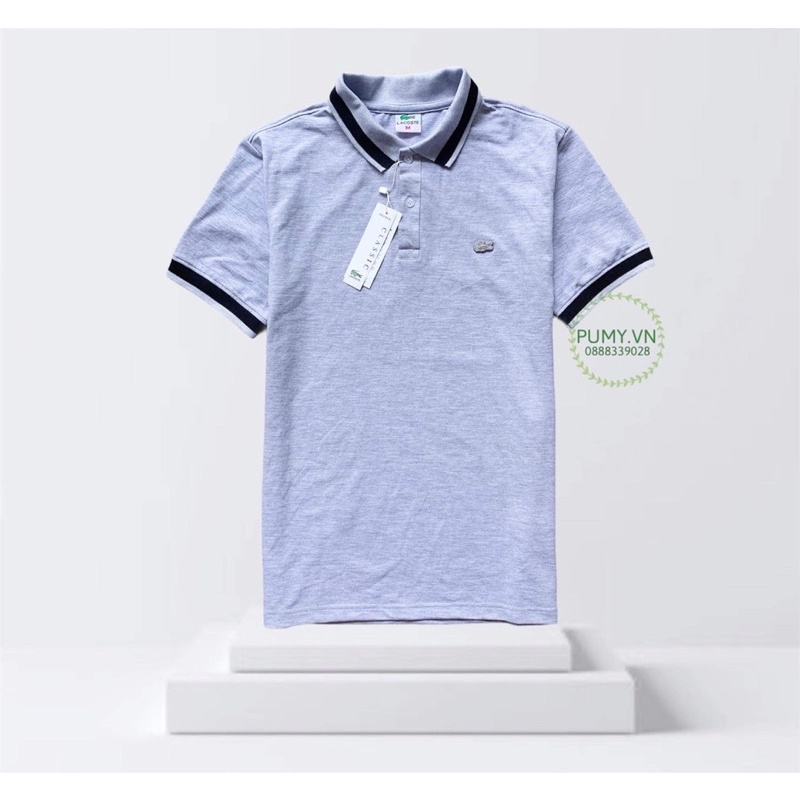  Áo thun nam cá sấu XK, thun mềm đẹp - form chuẩn | BigBuy360 - bigbuy360.vn