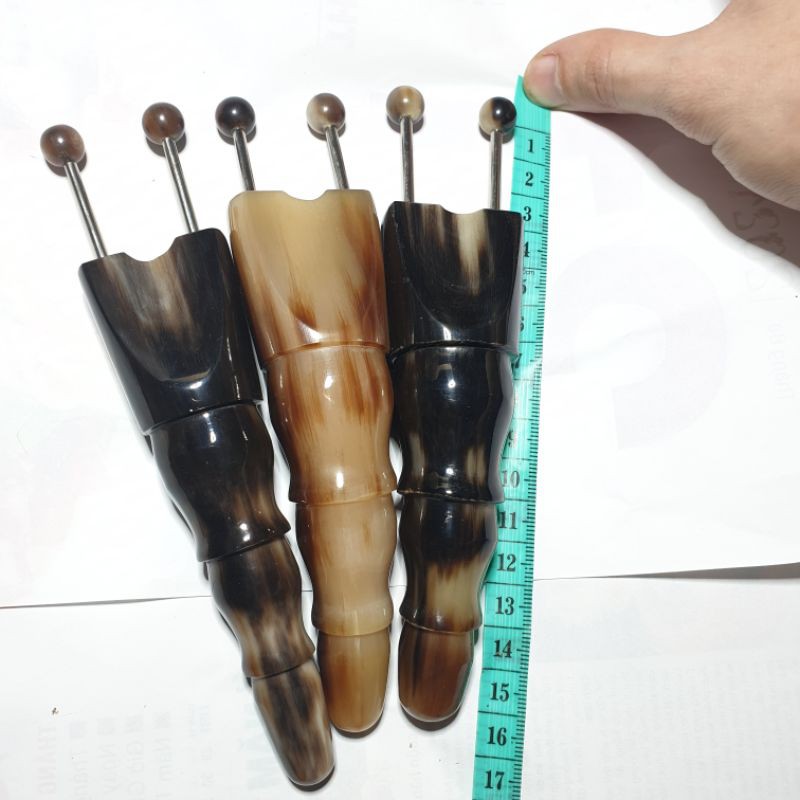 bọ cạp sừng cỡ nhỏ