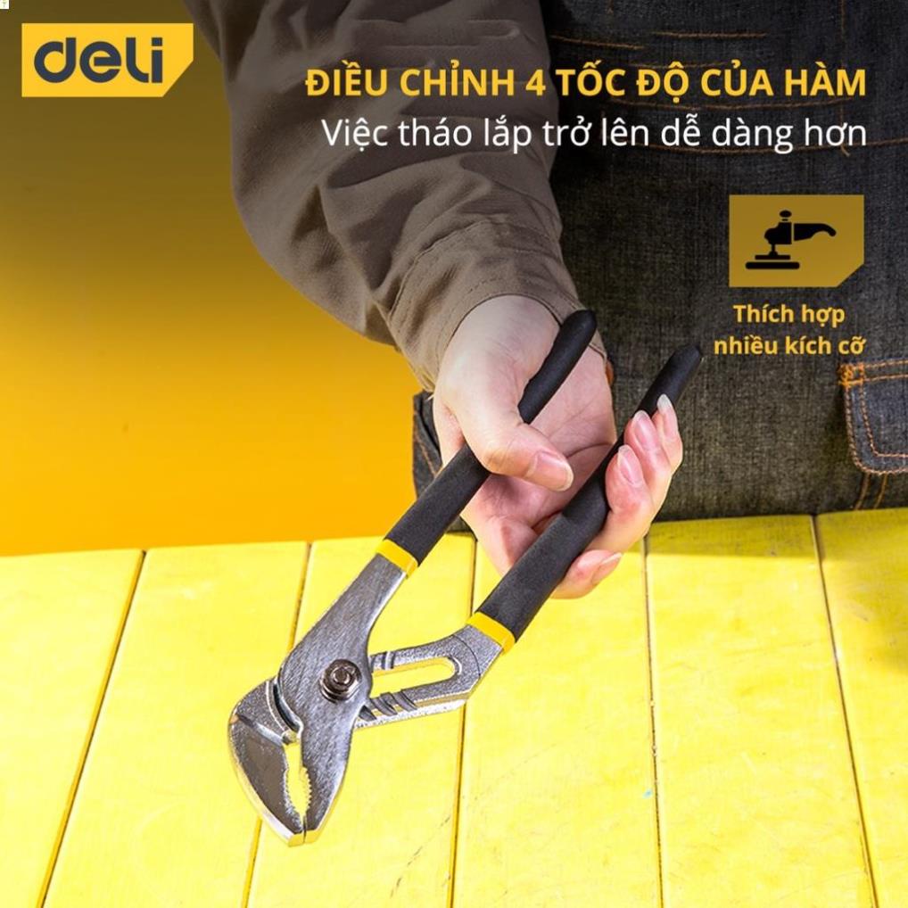 Kìm Mỏ Quạ Deli 10 Inch Cao Cấp - Giúp Giữ, Kẹp, Cắt Vật Dụng, Dành Cho Thợ Điện Nước Chuyên Nghiệp - DL2610 .
