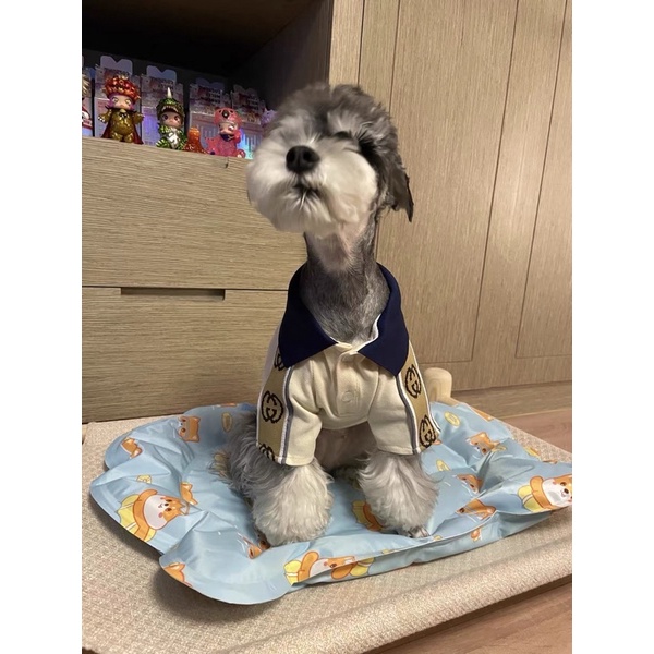 ÁO POLO GUCCl cho chó mèo