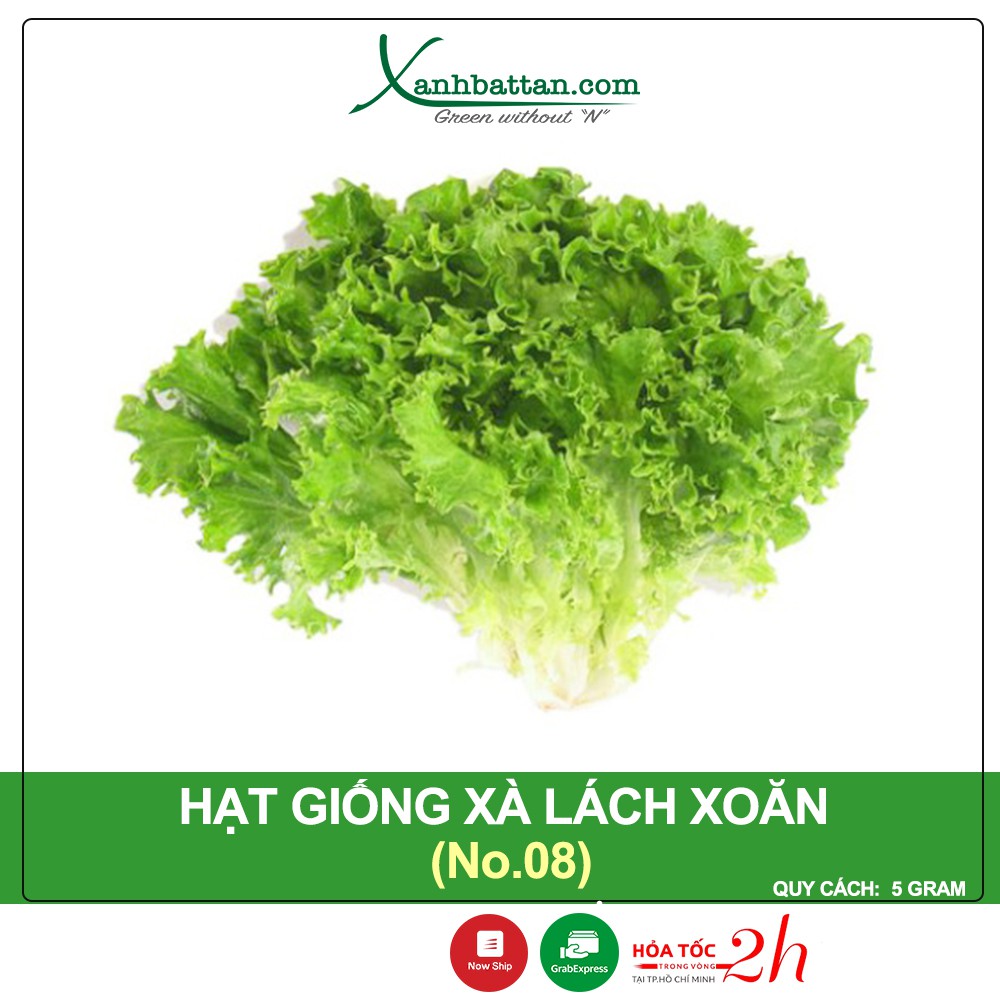 Hạt Giống Xà Lách Xoăn Sư Tử Hạt Đen Phú Nông Gói 5 Gram