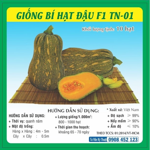 Hạt giống Bí đỏ TN - 01