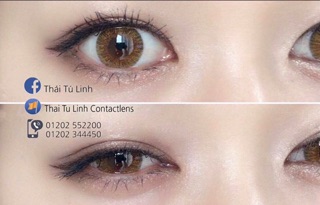 <LENS VASSEN> Lens Choco 14.0 - 14.2mm 0 độ