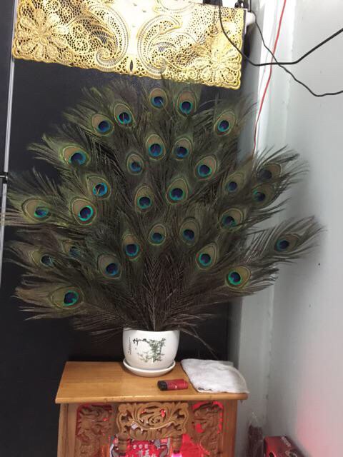 Lông công 85-90cm vật phẩm phong thủy MẮT TO | BigBuy360 - bigbuy360.vn