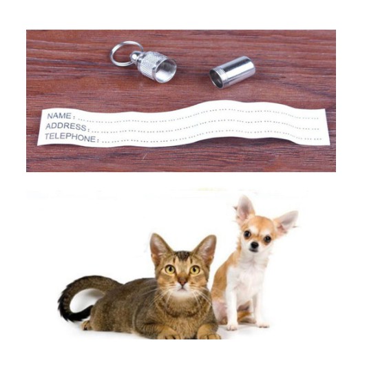 Ống đựng thông tin chống lạc đeo vòng cổ cho chó mèo