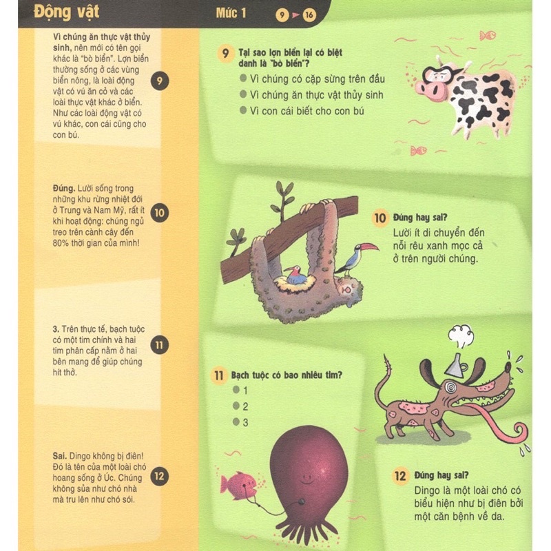 Sách Maxi Quiz Trắc nghiệm toàn diện về Bách khoa tri thức (BÌA VÀNG)