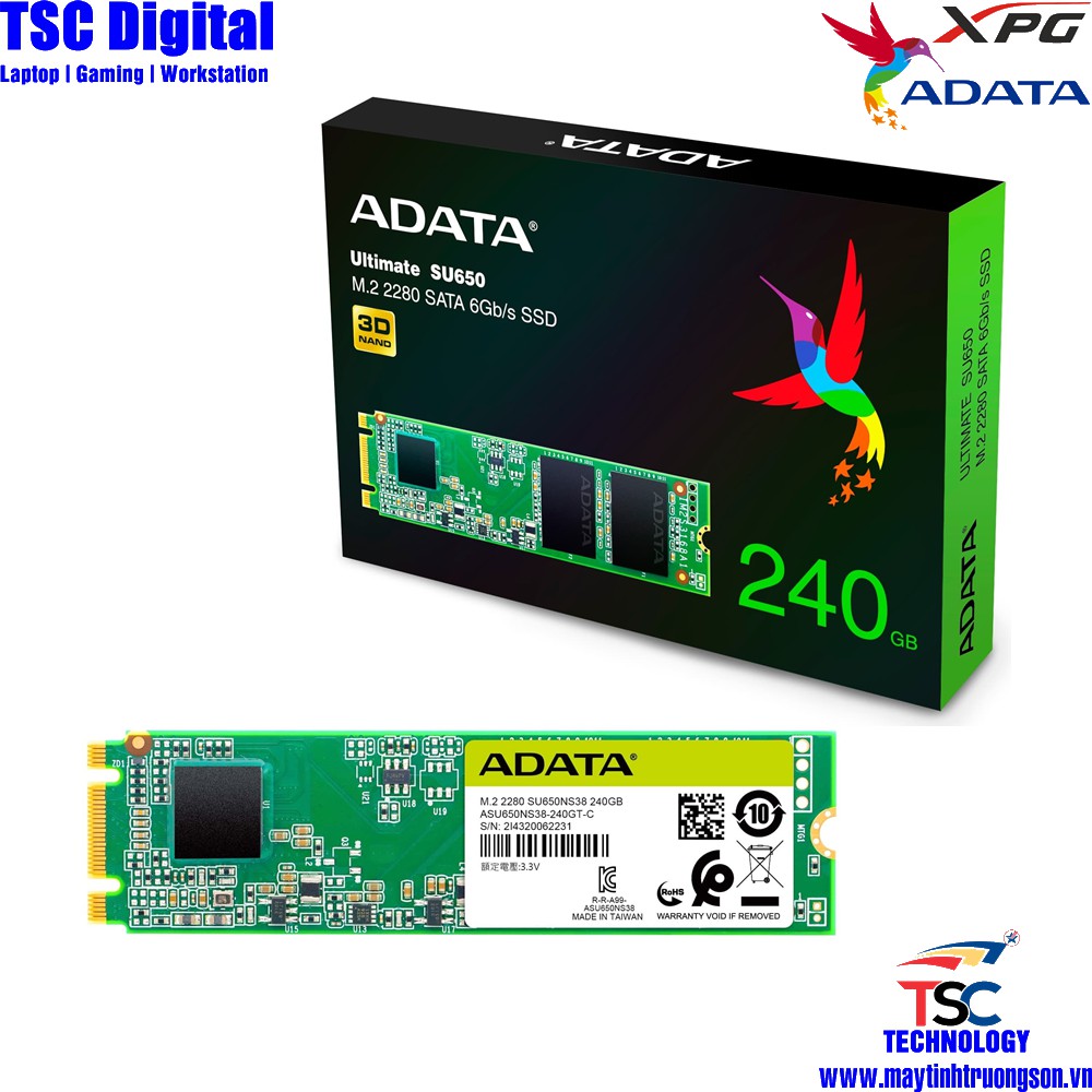 Ổ Cứng SSD ADATA Ultimate SU650 240GB M.2 2280 SATA 6Gb/s | NAND Flash 3D TLC