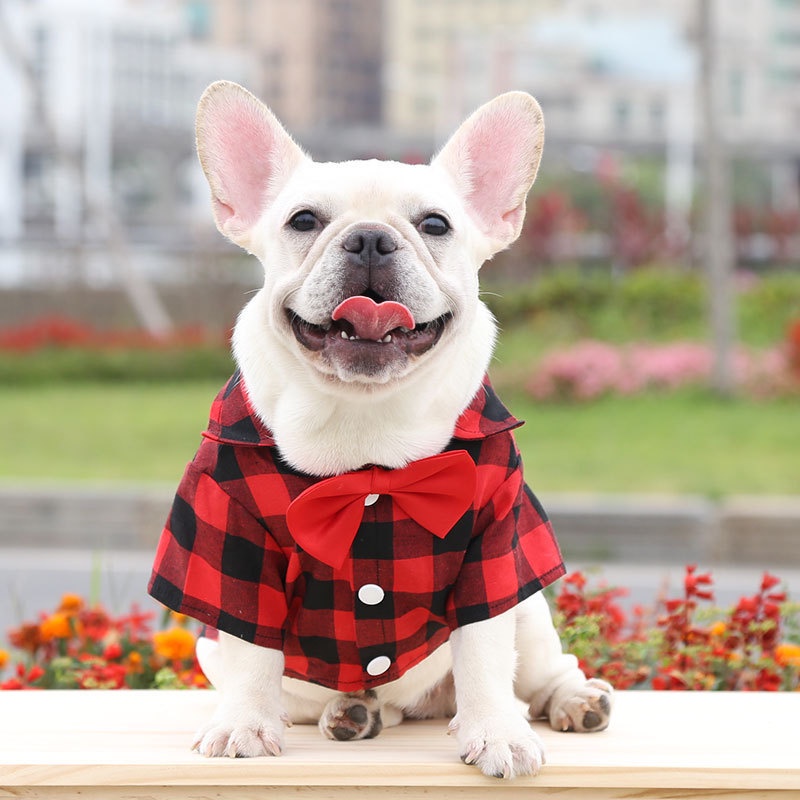 Quần áo thú cưng thời trang cho chó mèo size lớn nhỏ mặc mùa hè đón Noel Tết Giang Sinh giá rẻ SƠ MI KẺ CUTE CANDYPETS