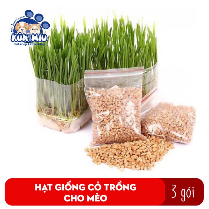 Combo 3 túi Hạt giống cỏ mèo Kún Miu bổ xung chất xơ giúp tiêu búi lông cho mèo