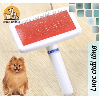 Lược chải lông rụng, đánh bông lông chó mèo nhỏ siêu đáng yêu