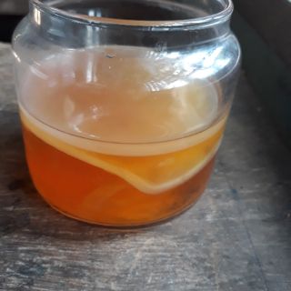 Scoby làm trà kombucha handmade