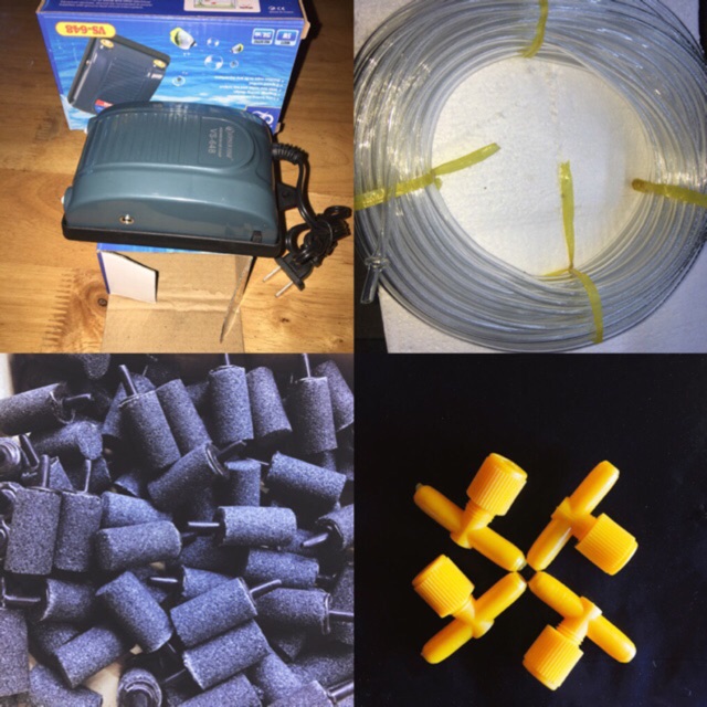 Combo Máy Oxy 2 Vòi: Máy+Dây+Sủi trụ+Van