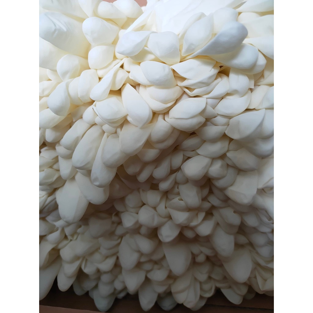 1 thùng 10 hộp Găng tay cao su y tế BEE GLOVE Latex , không bột chính hãng Màu Kem 6.0gr - Size XS,S,M,L