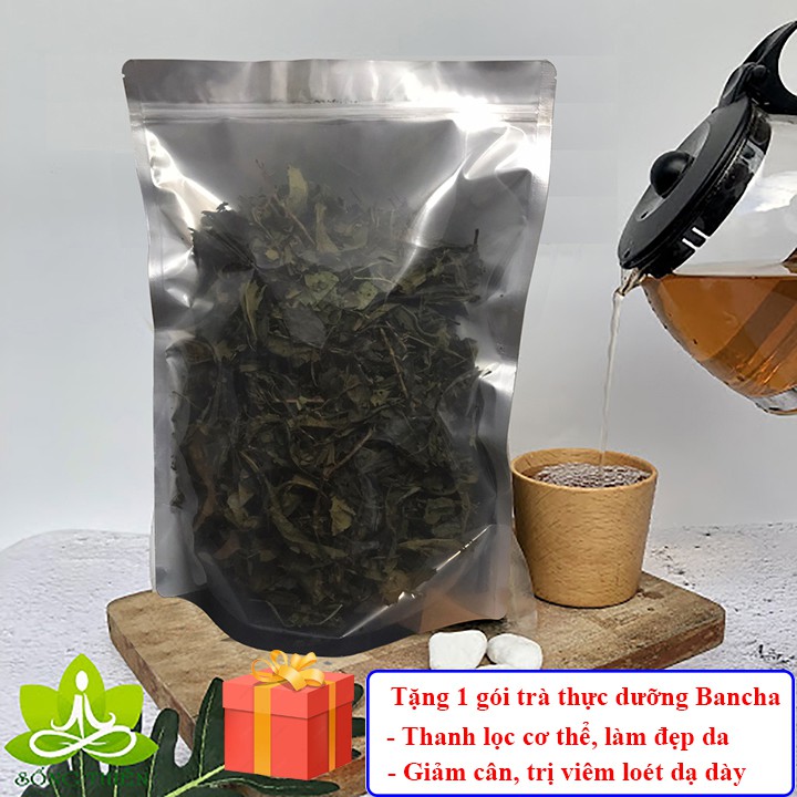 Tinh bột nghệ nguyên chất cao cấp hộp 100gr + Tặng 1 gói trà thực dưỡng Bancha