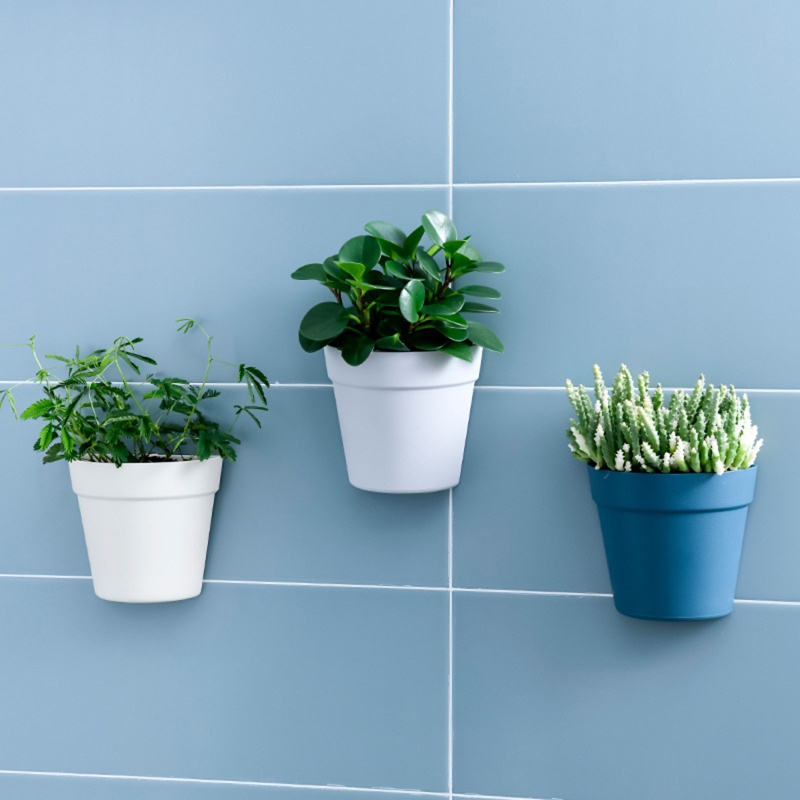 Chậu Nhựa Trồng Cây Treo Tường Hình Bán Nguyệt Tiện Dụng