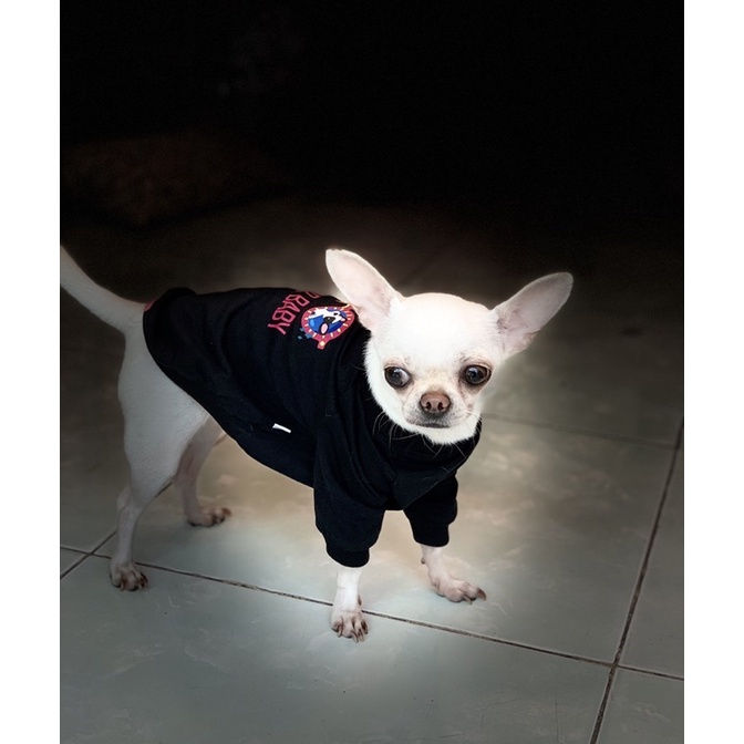 [Mẫu Thiết Kế] Áo Thú Cưng Chó Mèo In Hình Sugar Baby - Xiuxiu Giang